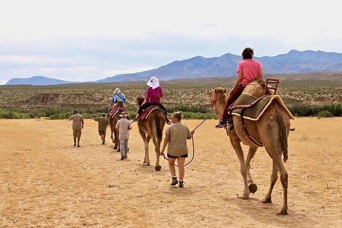 Camel Safari - Camel Ride and Zoo Tour - The 176-acre property and its animal residents