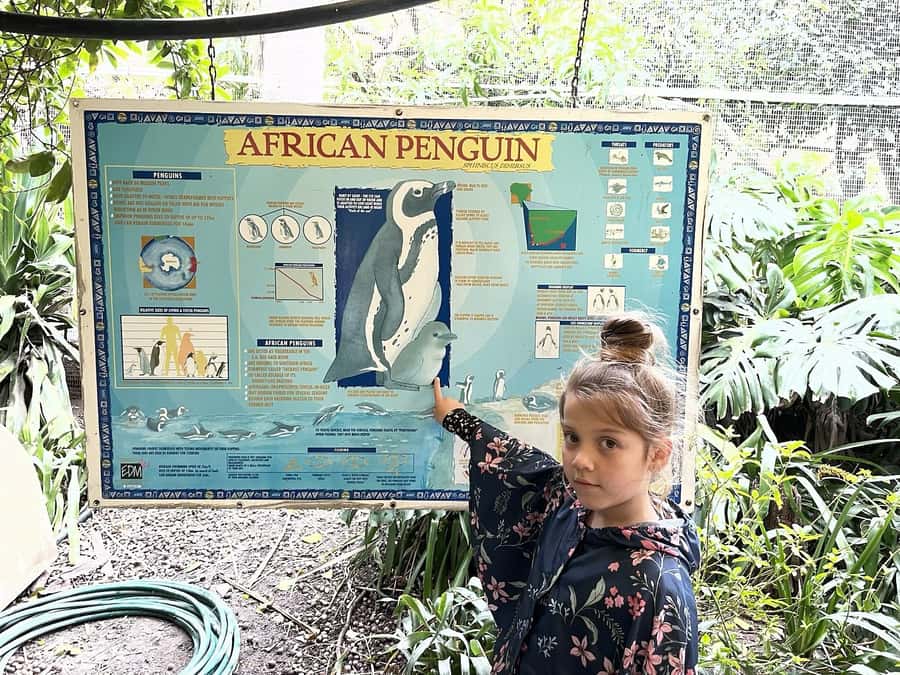Cape Town: World of Birds & Animal Sanctuary - The Magic Forest adds a playful trail