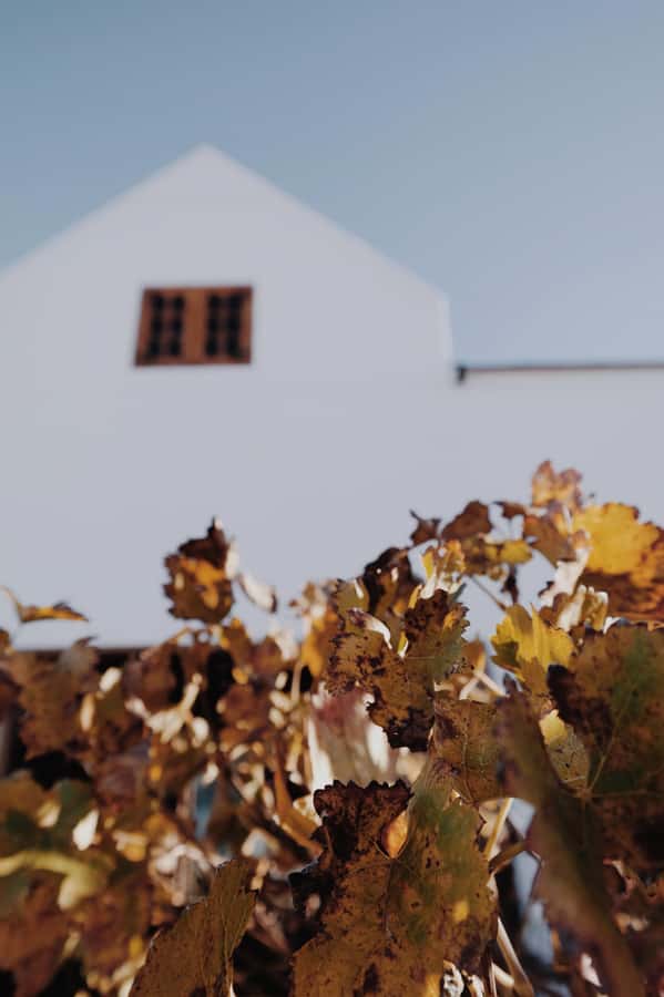 Cape Winelands Family Tour & Wildlife Encounter - Who will enjoy this family tour most