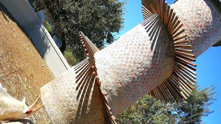 Cape Winelands Family Tour & Wildlife Encounter - Giraffe House: a close start with Africa’s tallest animal
