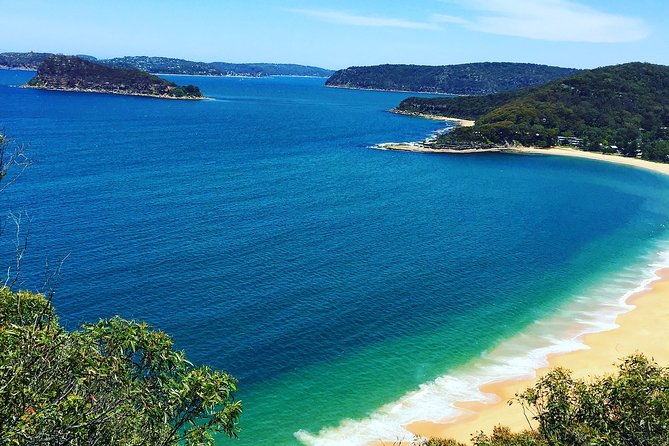 Central Coast Private Tour From Sydney, with Australian Reptile Park Option - Key points to know before booking