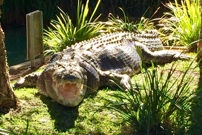 Central Coast Private Tour From Sydney, with Australian Reptile Park Option - Ettalong Beach and an unfussy lunch break