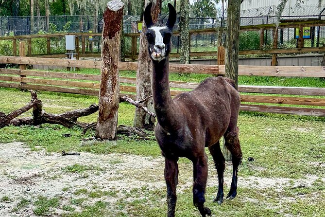 Central Florida Zoo and Botanical Gardens Ticket - Use the gardens as more than a walk between exhibits