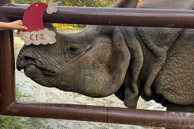 Central Florida Zoo and Botanical Gardens Ticket - Visit the Herpetarium for snakes and small creatures