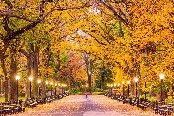 Central Park Zoo Admission Ticket with 4D Theater Access - Key points to know before you go