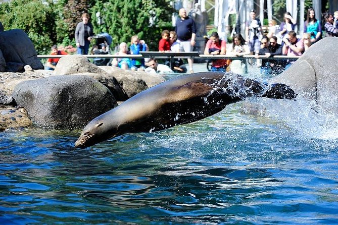 Central Park Zoo Admission Ticket with 4D Theater Access - The Polar Circle is the main draw