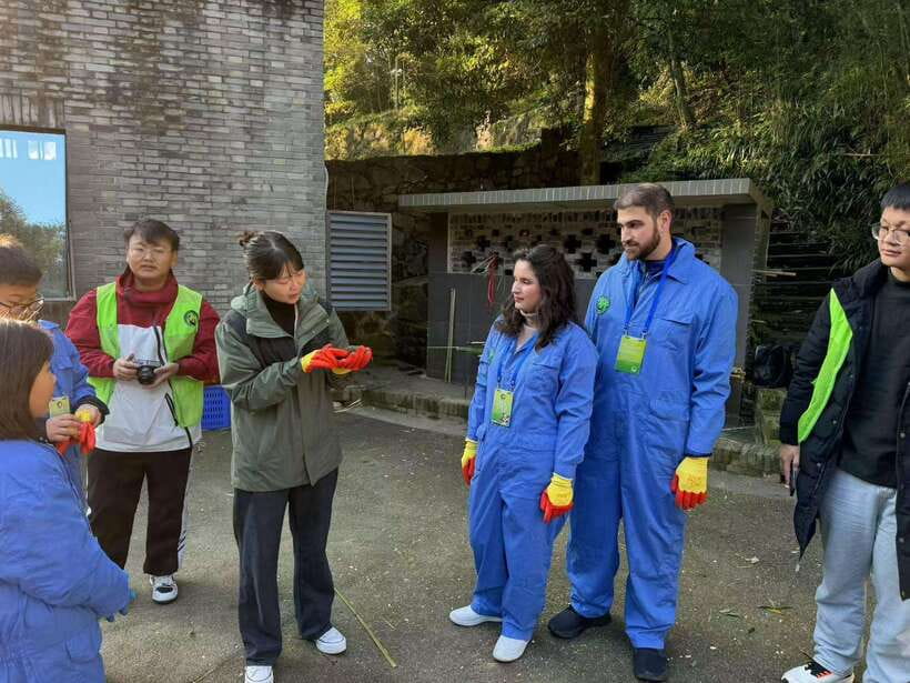 Chengdu: Dujiangyan Panda Base Volunteering Day Trip - Why this Dujiangyan panda day feels different