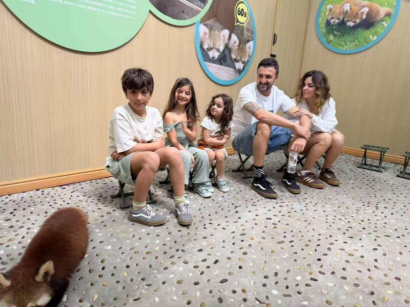 Chengdu: Dujiangyan Panda Base Volunteering Day Trip - Lunch with the panda keepers