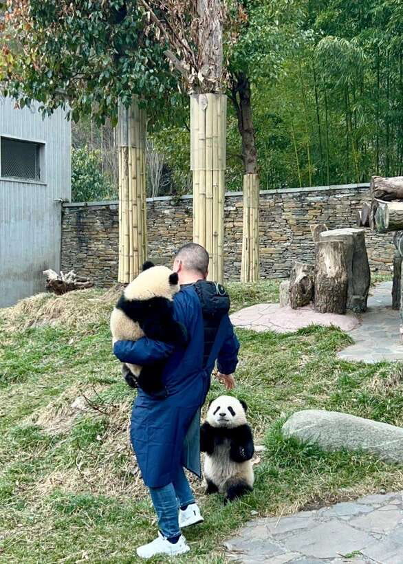 Chengdu: Hidden Wonders Day Tour with Wolong Panda Base - Nanqiao Bridge and the uncertain glow of Blue Tears
