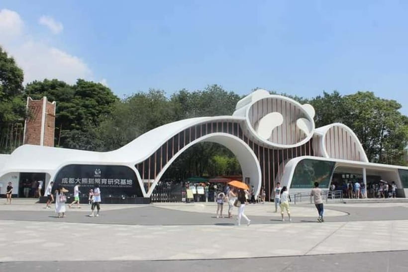 Chengdu Panda Base and Dujiangyan One-Day Private Tour - Four hours among giant pandas