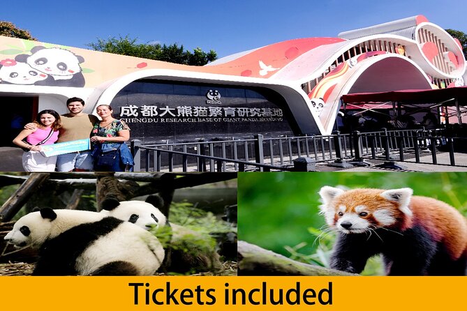 Chengdu Panda Base Half Day Tour - Why the panda base works best early in your Chengdu plans