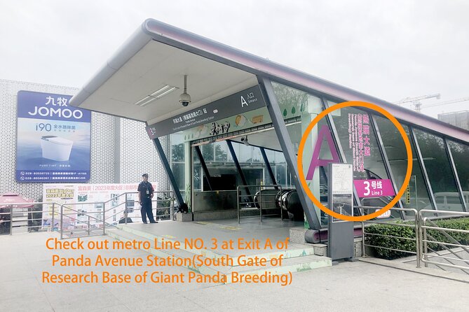 Chengdu Panda Base Half Day Tour - The half-day route from Panda Avenue Station
