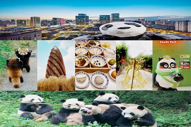 Chengdu Panda Base Half Day Tour - A small group changes the feel of the visit