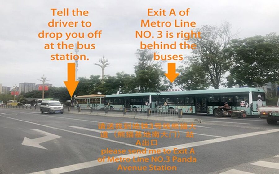 Chengdu panda base half day tour - How the special route improves the visit