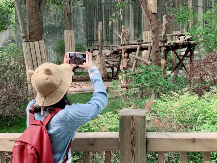 Chengdu: Private Panda Base Tour with 80 Pandas - Should You Book the Panda Base Tour?