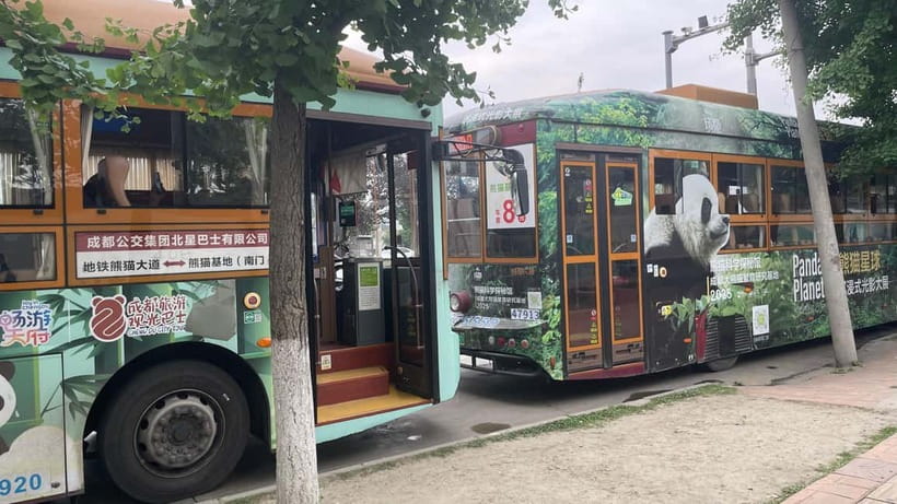 Chengdu: Private Tour at Panda Base with Guide - Starting at the South Gate or Panda Avenue Station