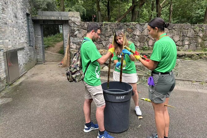 Chengdu: Volunteer Day Experience at Dujiangyan Panda base - What the Dujiangyan panda day is really like