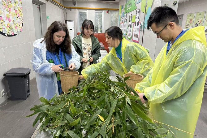Chengdu: Volunteer Day Experience at Dujiangyan Panda base - The early pickup and ride from Chengdu