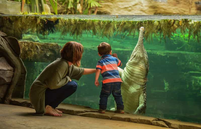 Chester: Chester Zoo Entry Ticket - A zoo day that needs a plan