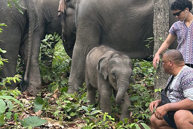 Chiang Mai 1 Day: Elephant Sanctuary, Waterfall & Bamboo Rafting - What makes the elephant policy important