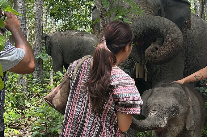 Chiang Mai 1 Day: Elephant Sanctuary, Waterfall & Bamboo Rafting - Three hours of bamboo rafting
