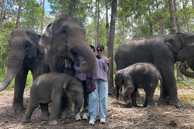 Chiang Mai 1 Day: Elephant Sanctuary, Waterfall & Bamboo Rafting - Practical value, timing, and what to bring