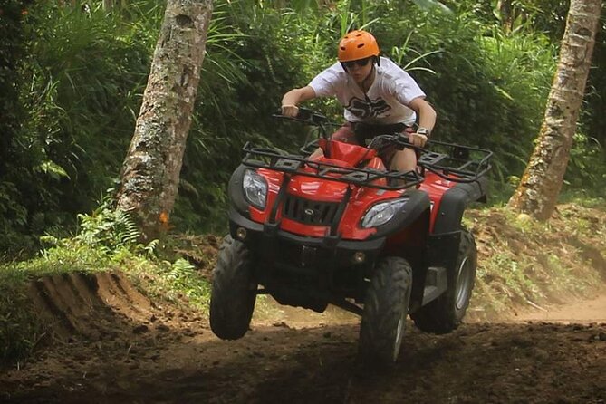 Chiang Mai ATV White Water Rafting and Elephant Sanctuary Full-Day Trip - Why the elephants matter more than the ATV ride