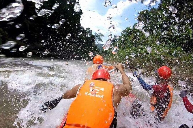 Chiang Mai ATV White Water Rafting and Elephant Sanctuary Full-Day Trip - Who should book this full-day outing