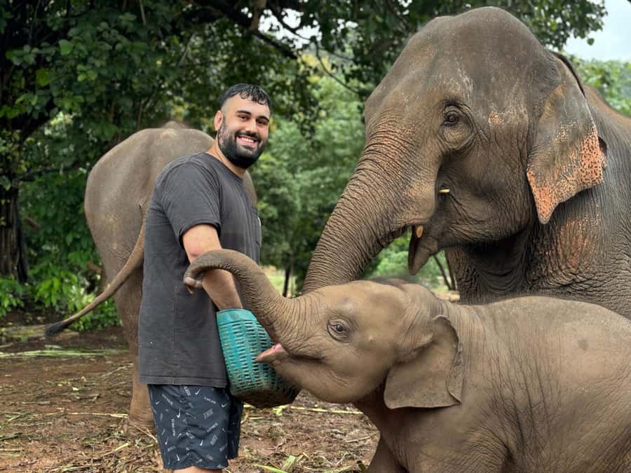 Chiang Mai: Doi Inthanon and Elephant Sanctuary Tour - Doi Inthanon combines cool air and royal pagodas