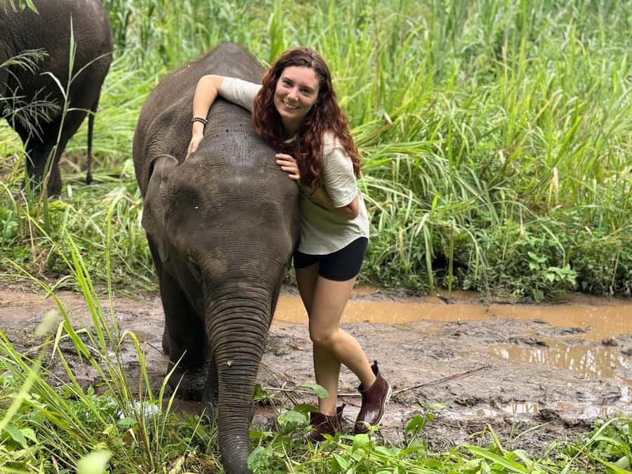 Chiang Mai: Doi Inthanon and Elephant Sanctuary Tour - Transport, timing, and the real cost of the day