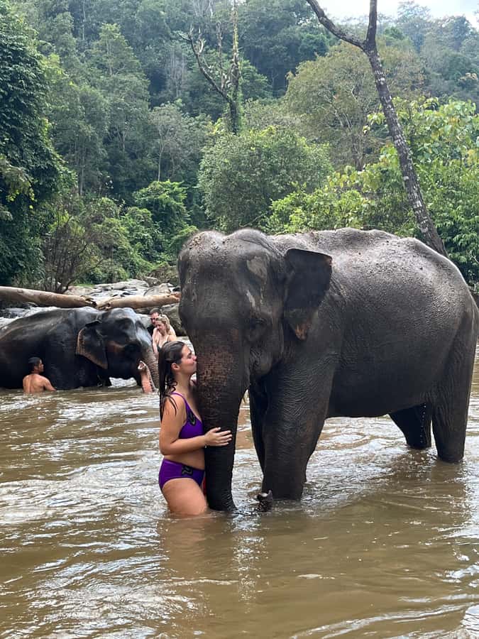 Chiang Mai: Doi Inthanon and Elephant Sanctuary Tour - What to pack for Doi Inthanon