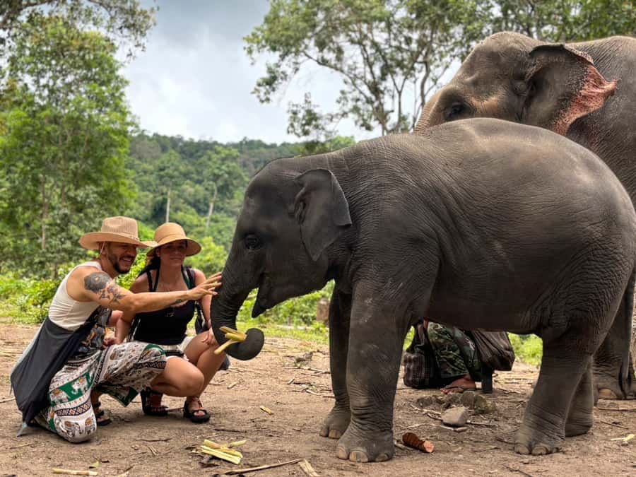 Chiang Mai: Doi Inthanon and Elephant Sanctuary Tour - Who should choose this tour
