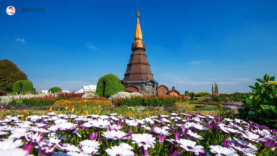Chiang Mai: Doi Inthanon and Elephant Sanctuary Tour & Hike - The Twin Pagodas and royal views