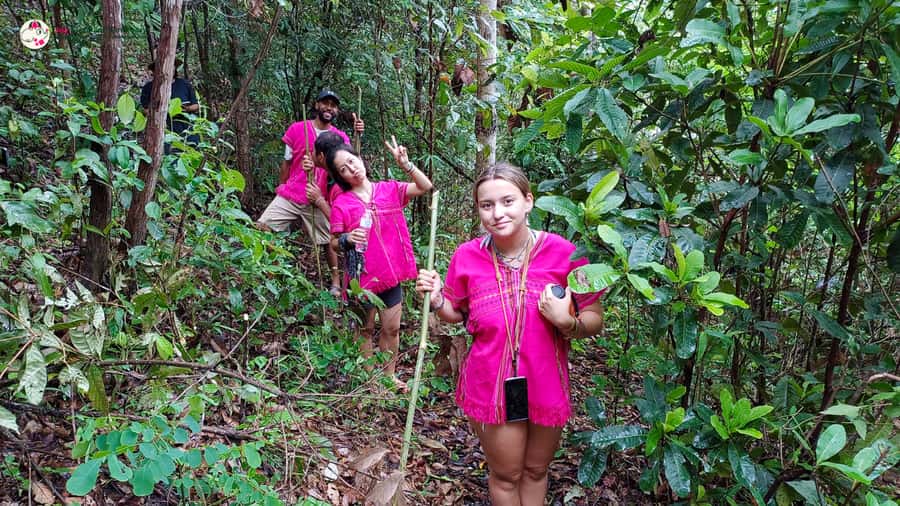 Chiang Mai: Doi Inthanon and Elephant Sanctuary Tour & Hike - Is $93 good value?