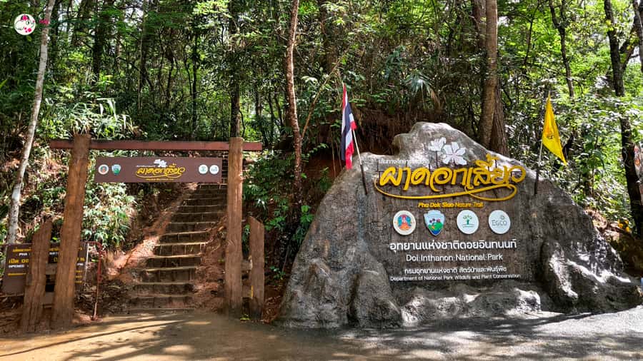 Chiang Mai: Doi Inthanon and Elephant Sanctuary Tour & Hike - Meeting elephants without a riding show