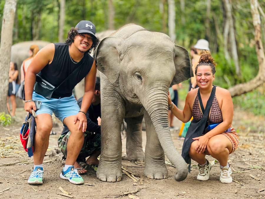 Chiang Mai: Doi Inthanon and Elephant Sanctuary Tour - Wachirathan Waterfall brings the day to life