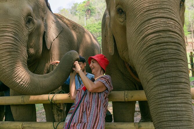 Chiang Mai Elephant Sanctuary and Sticky Waterfall Day Tour - Climbing Buatong’s Sticky Waterfall