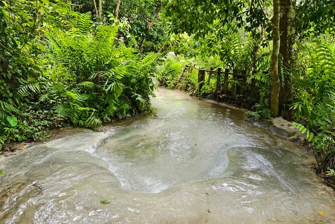 Chiang Mai Elephant Sanctuary and Sticky Waterfall Day Tour - Who should book this Chiang Mai day trip?