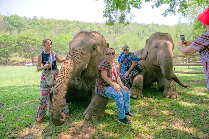 Chiang Mai Elephant Sanctuary and Sticky Waterfall Day Tour - Mud, river water, and herbal elephant food