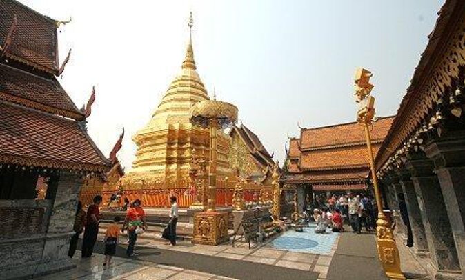 Chiang Mai Elephant Sanctuary and Temples Tour in Spanish - Key points to know before booking