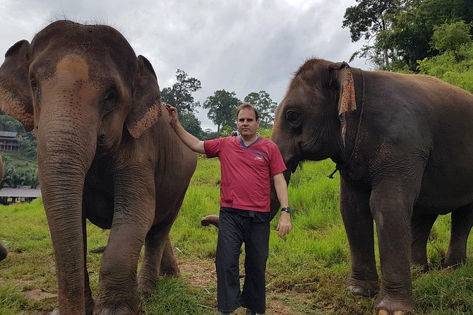 Chiang Mai Elephant Sanctuary and Temples Tour in Spanish - Who will enjoy this day most