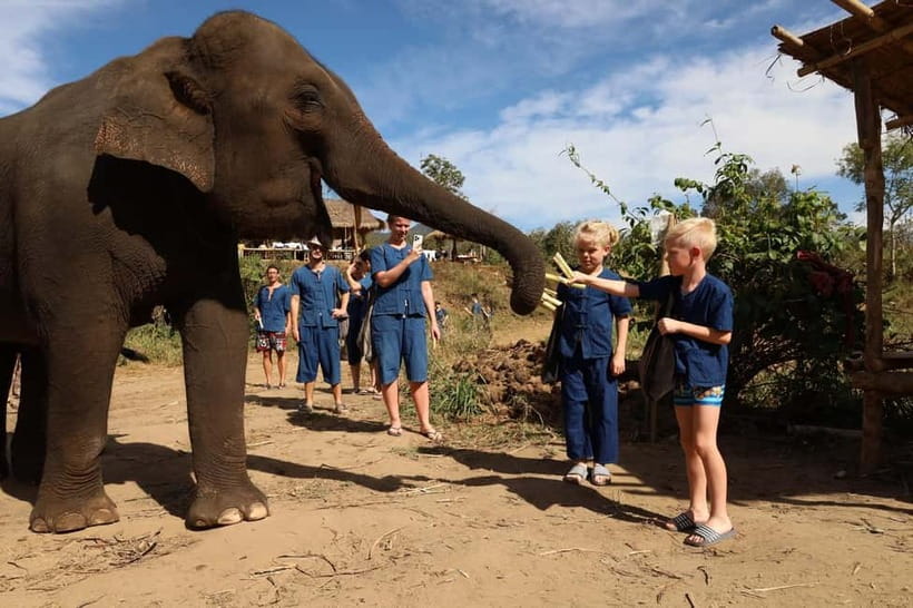 Chiang Mai: Elephant Sanctuary Bamboo Raft & Padthai Cooking - The 1.5-hour ride from Chiang Mai
