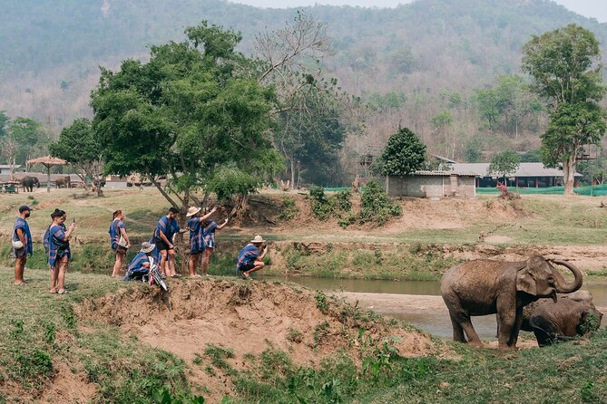 Chiang Mai Elephant Sanctuary, Bamboo Rafting and Waterfall Tour - The guides shape the day