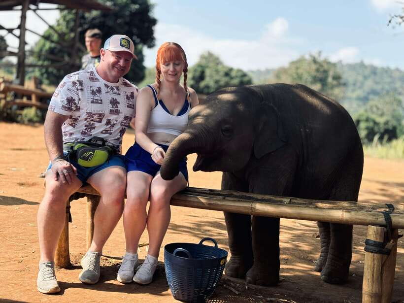 Chiang Mai: Elephant Sanctuary Feeding Program Half-Day Tour - Key points to know before you go