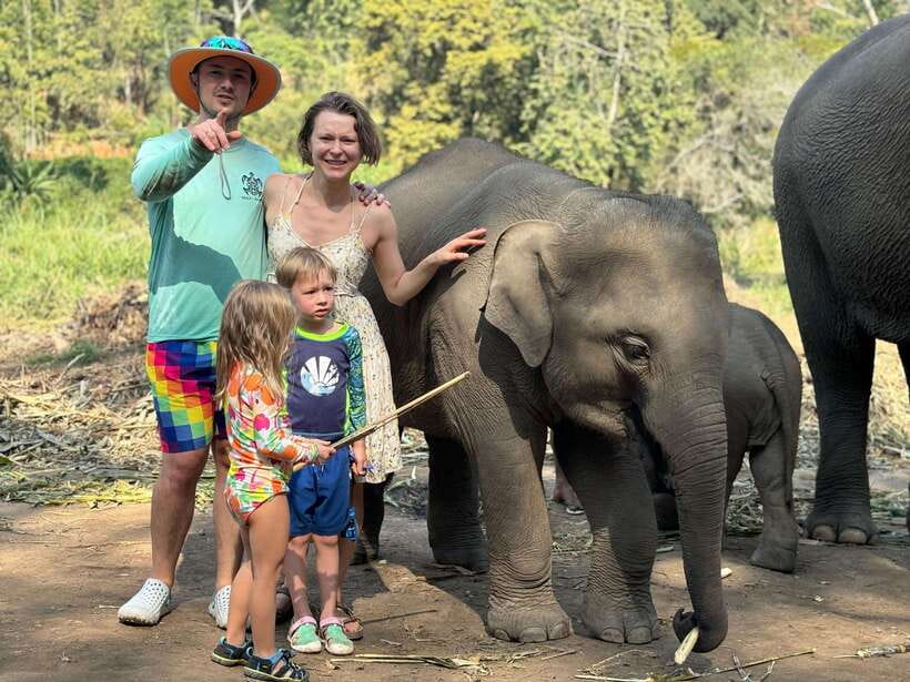 Chiang Mai: Elephant Sanctuary Feeding Program Half-Day Tour - How the program handles elephant welfare