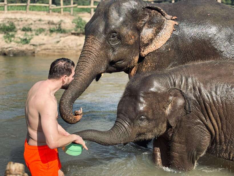 Chiang Mai: Elephant Sanctuary Feeding Program Half-Day Tour - Is $27 a good value?