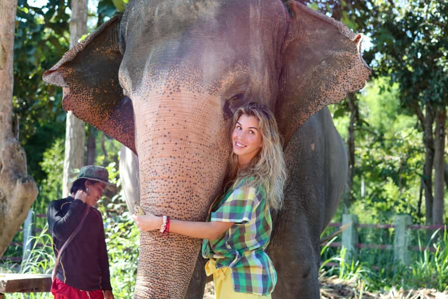 Chiang Mai: Elephant Sanctuary Guided Tour in Spanish - Key points at a glance