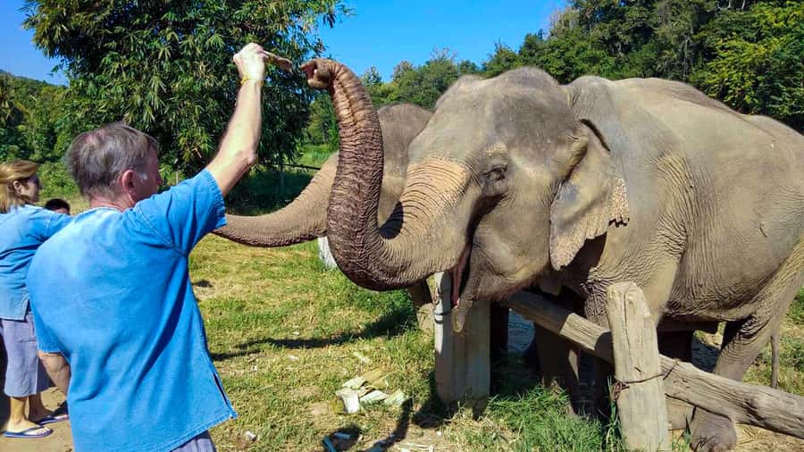 Chiang Mai: Elephant Sanctuary Guided Tour in Spanish - Bathing with the elephants