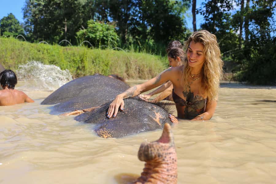 Chiang Mai: Elephant Sanctuary Guided Tour in Spanish - What to pack for this exact outing