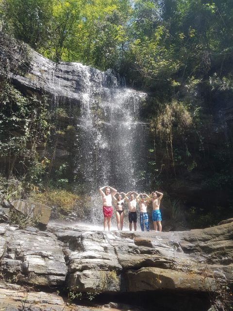 Chiang Mai: Elephant Sanctuary & Jungle Trek w/ Waterfall - A 30-minute jungle walk to Mae Wang Waterfall